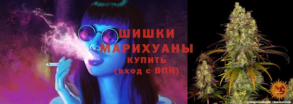 хмурый Каменка