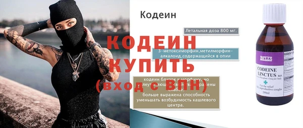 хмурый Каменка