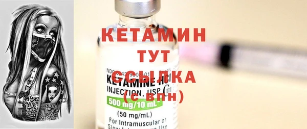 хмурый Каменка
