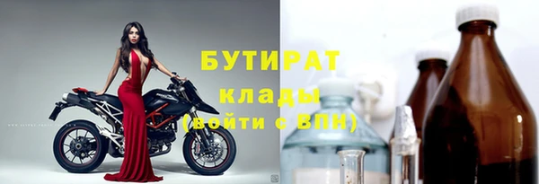 хмурый Каменка