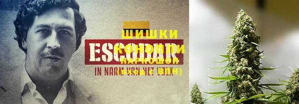 хмурый Каменка
